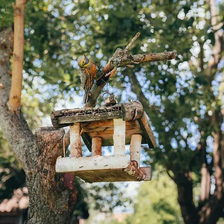 House * Liptovský Ján